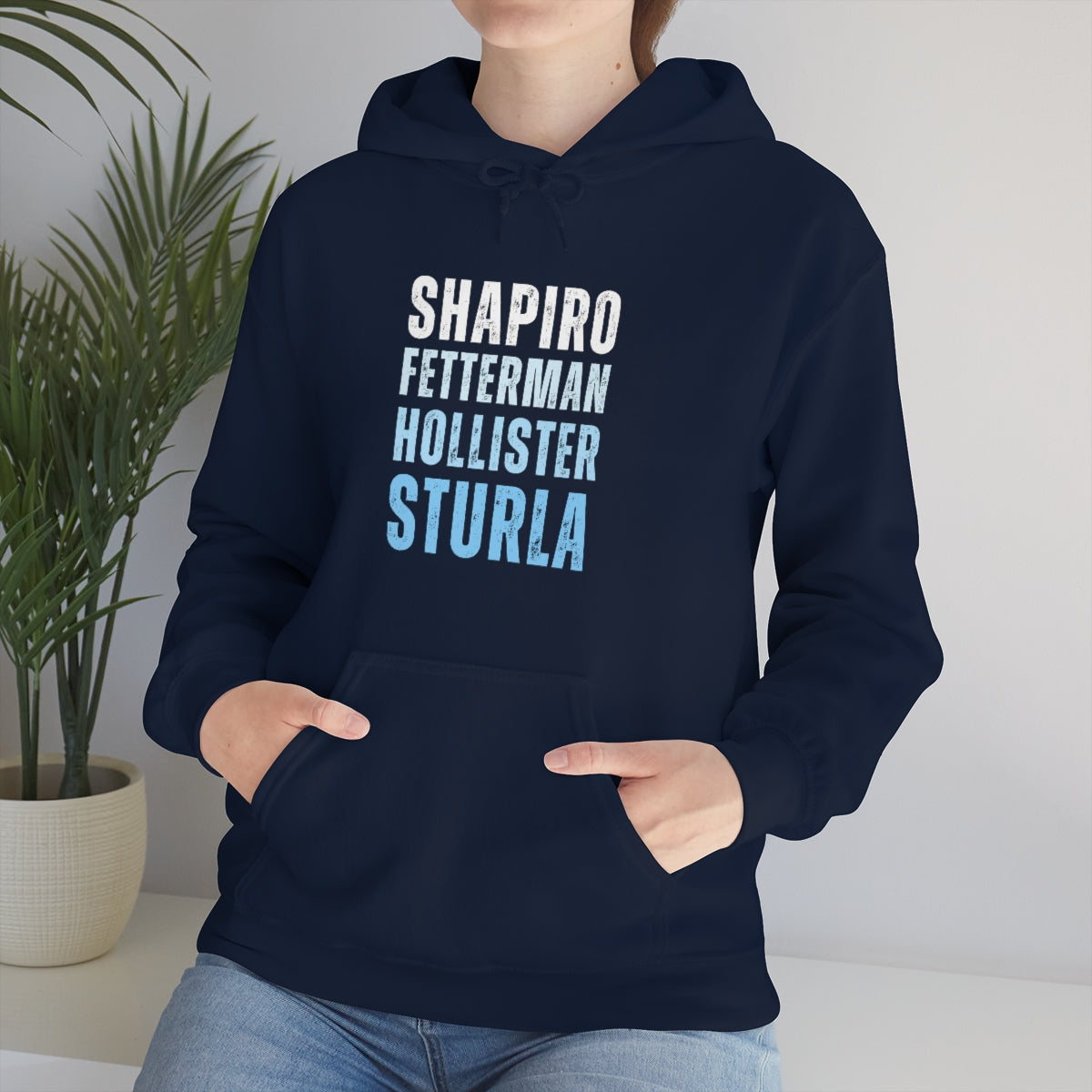 Shapiro, Fetterman, Hollister, Sturla Hooded Sweatshirt